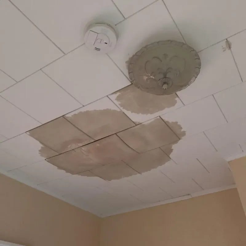 Ceiling Water Damage Repair in Hughes Springs, TX