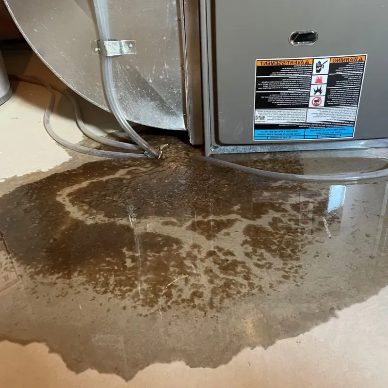 Pipe Burst and Leak Restoration in Hughes Springs, TX