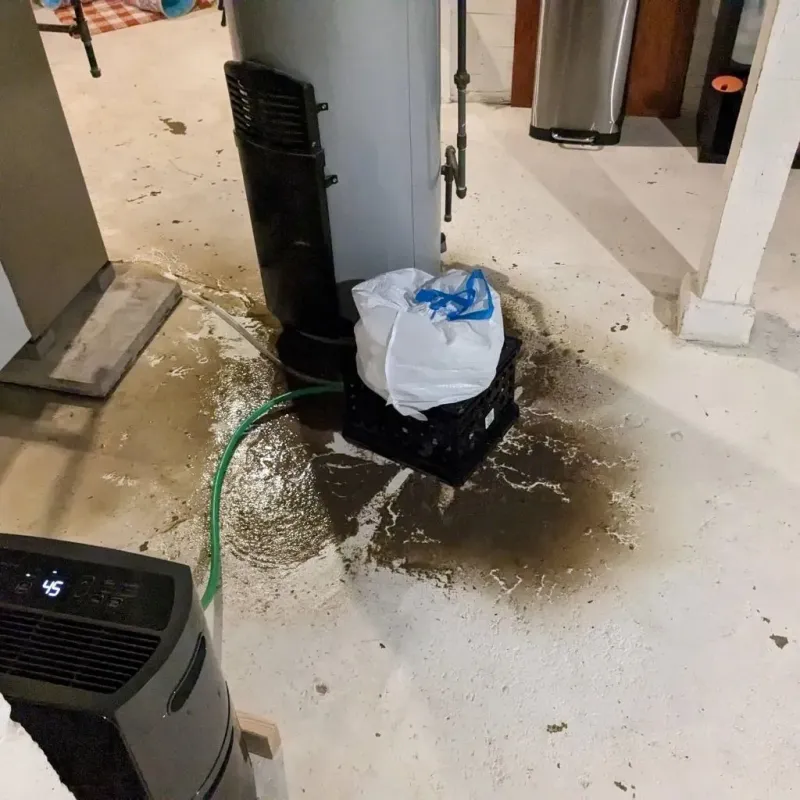Sewage Backup Cleanup Service in Hughes Springs, TX
